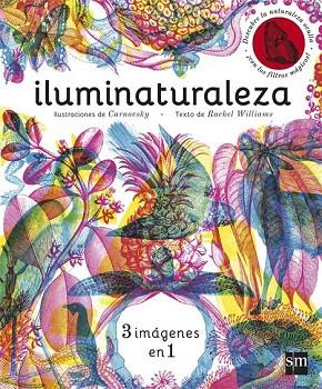 ILUMINATURALEZA | 9788467589955 | WILLIAMS, RACHEL; CARNOVSKY | Llibreria Drac - Llibreria d'Olot | Comprar llibres en català i castellà online