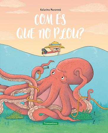 COM ÉS QUE NO PLOU? | 9788418520426 | MACUROVÁ, KATARÍNA | Llibreria Drac - Llibreria d'Olot | Comprar llibres en català i castellà online