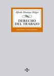 DERECHO DEL TRABAJO | 9788430958917 | MONTOYA, ALFREDO | Llibreria Drac - Llibreria d'Olot | Comprar llibres en català i castellà online