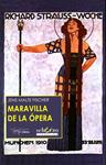 MARAVILLA DE LA OPERA | 9788477744481 | FISCHER, JENS MALTE | Llibreria Drac - Librería de Olot | Comprar libros en catalán y castellano online