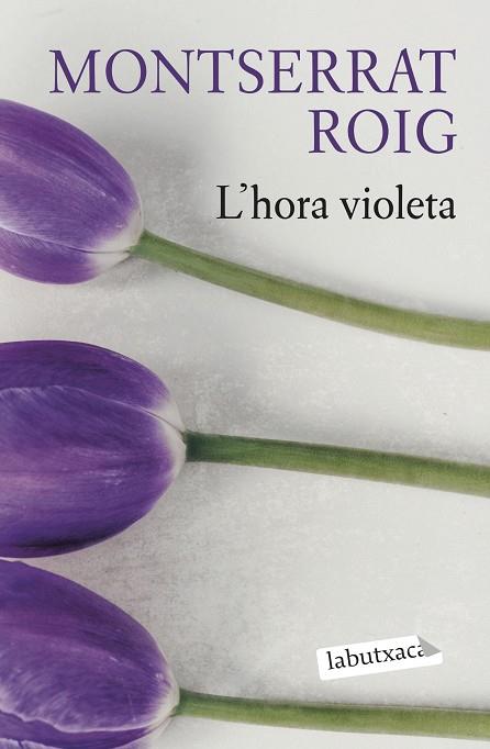 HORA VIOLETA, L' | 9788419107503 | ROIG, MONTSERRAT | Llibreria Drac - Librería de Olot | Comprar libros en catalán y castellano online