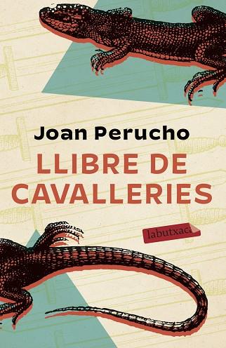 LLIBRE DE CAVALLERIES | 9788417423643 | PERUCHO, JOAN | Llibreria Drac - Librería de Olot | Comprar libros en catalán y castellano online