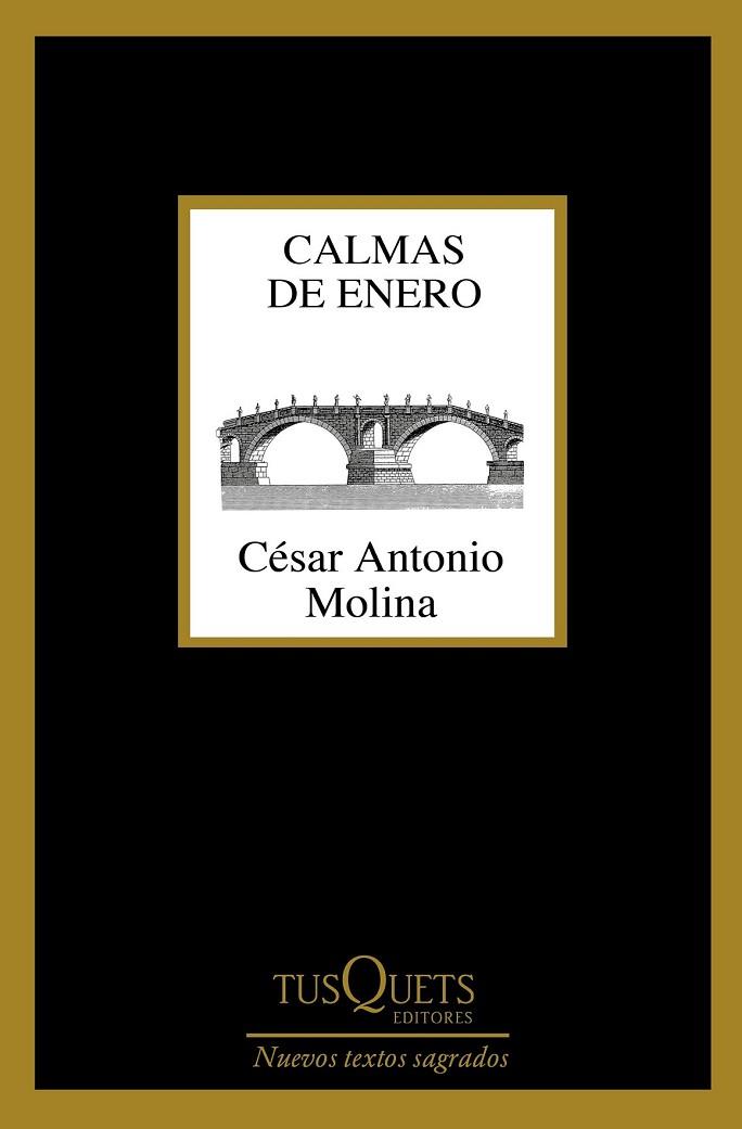 CALMAS DE ENERO | 9788490664704 | MOLINA, CÉSAR ANTONIO | Llibreria Drac - Librería de Olot | Comprar libros en catalán y castellano online