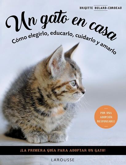 GATO EN CASA, UN | 9788419436092 | BULARD-CORDEAU, BRIGITTE | Llibreria Drac - Llibreria d'Olot | Comprar llibres en català i castellà online