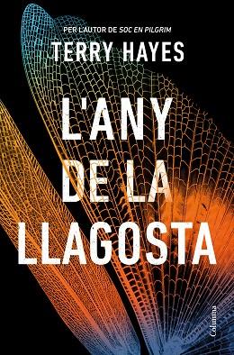 ANY DE LA LLAGOSTA, L' | 9788466432153 | HAYES, TERRY | Llibreria Drac - Llibreria d'Olot | Comprar llibres en català i castellà online