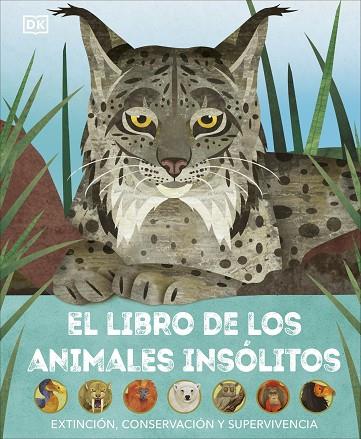 LIBRO DE LOS ANIMALES INSÓLITOS, EL | 9780241637692 | DK | Llibreria Drac - Llibreria d'Olot | Comprar llibres en català i castellà online