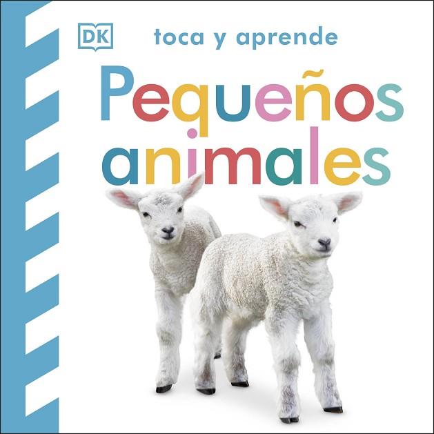 TOCA Y APRENDE: PEQUEÑOS ANIMALES | 9780241637753 | DK | Llibreria Drac - Librería de Olot | Comprar libros en catalán y castellano online