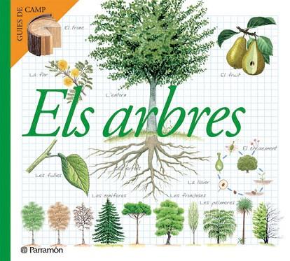 ARBRES, ELS | 9788434228320 | VARIS | Llibreria Drac - Llibreria d'Olot | Comprar llibres en català i castellà online