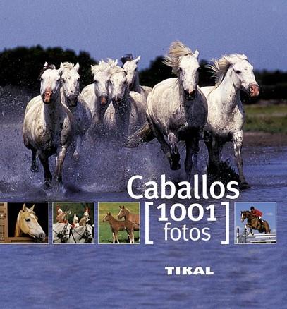 CABALLOS 1001 FOTOS | 9788499280875 | RUDEL, MURIELLE/VIARD, MICHEL | Llibreria Drac - Llibreria d'Olot | Comprar llibres en català i castellà online