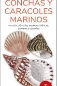 CONCHAS Y CARACOLES MARINOS  (GUIAS DESPLEGABLES TUNDRA) | 9788418458798 | HERNANDEZ, VICTOR J. | Llibreria Drac - Llibreria d'Olot | Comprar llibres en català i castellà online