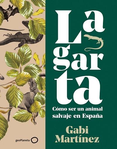 LAGARTA | 9788408252115 | MARTÍNEZ, GABI | Llibreria Drac - Librería de Olot | Comprar libros en catalán y castellano online