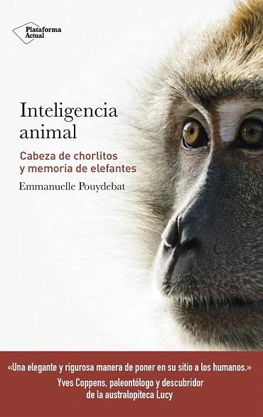 INTELIGENCIA ANIMAL | 9788417114947 | POUYDEBAT, EMMANUELLE | Llibreria Drac - Librería de Olot | Comprar libros en catalán y castellano online