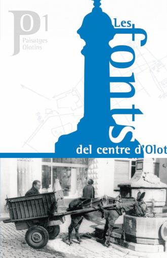FONTS DEL CENTRE D'OLOT, LES | 9788461244386 | NEBOT, JORDI | Llibreria Drac - Llibreria d'Olot | Comprar llibres en català i castellà online