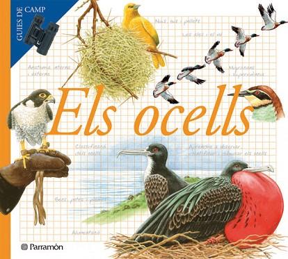 OCELLS, ELS | 9788434228283 | AA.VV. | Llibreria Drac - Llibreria d'Olot | Comprar llibres en català i castellà online