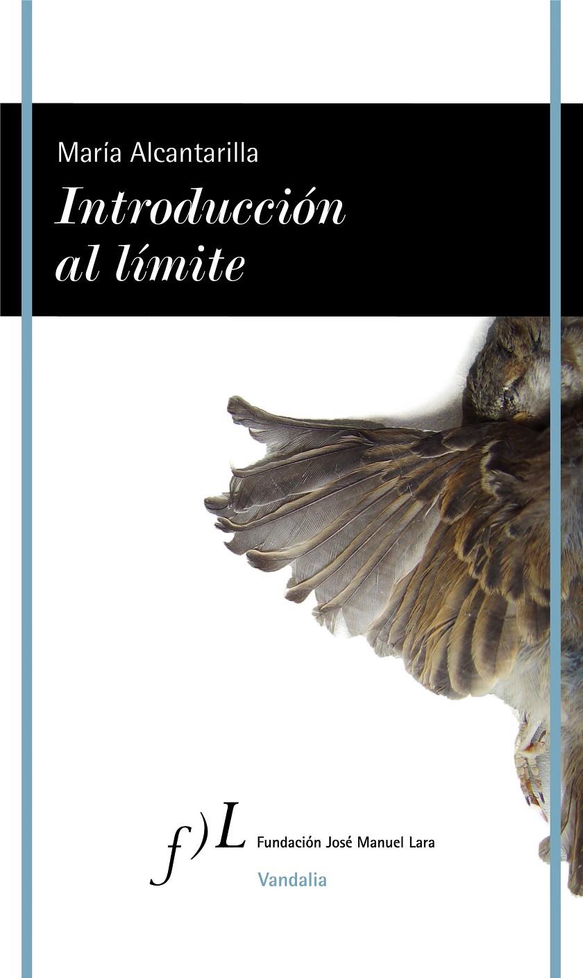 INTRODUCCIÓN AL LÍMITE | 9788417453176 | ALCANTARILLA, MARÍA | Llibreria Drac - Librería de Olot | Comprar libros en catalán y castellano online