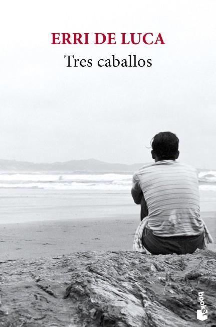 TRES CABALLOS | 9788432236921 | DE LUCA, ERRI | Llibreria Drac - Librería de Olot | Comprar libros en catalán y castellano online