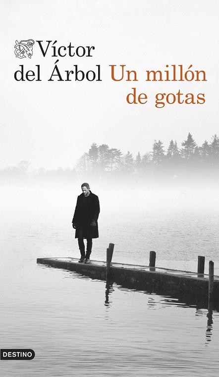 MILLÓN DE GOTAS, UN | 9788423348138 | DEL ÁRBOL, VÍCTOR | Llibreria Drac - Llibreria d'Olot | Comprar llibres en català i castellà online