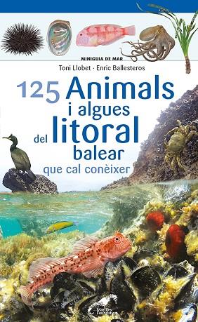 125 ANIMALS I ALGUES DEL LITORAL BALEAR QUE CAL CONÈIXER | 9788413562704 | BALLESTEROS SAGARRA, ENRIC | Llibreria Drac - Llibreria d'Olot | Comprar llibres en català i castellà online