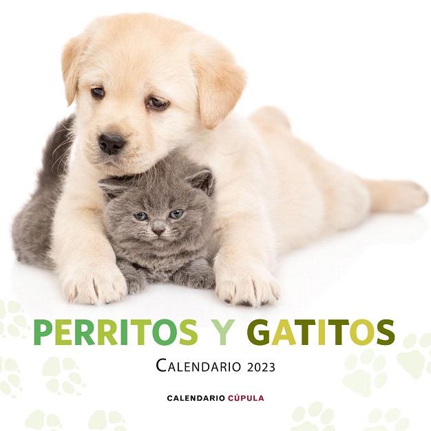CALENDARIO PERRITOS Y GATITOS 2023 | 9788448029807 | AA.DD. | Llibreria Drac - Llibreria d'Olot | Comprar llibres en català i castellà online