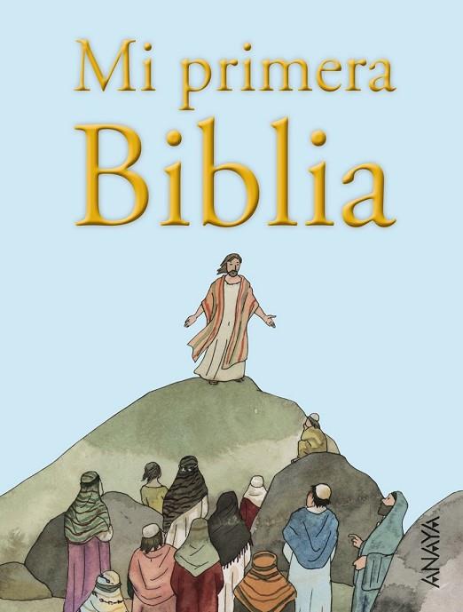 MI PRIMERA BIBLIA | 9788469827284 | MUÑOZ, VICENTE | Llibreria Drac - Llibreria d'Olot | Comprar llibres en català i castellà online