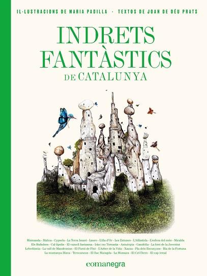 INDRETS FANTÀSTICS DE CATALUNYA | 9788417188986 | PRATS, JOAN DE DÉU; PADILLA, MARIA | Llibreria Drac - Llibreria d'Olot | Comprar llibres en català i castellà online