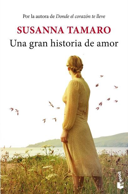 GRAN HISTORIA DE AMOR, UNA | 9788432242618 | TAMARO, SUSANNA | Llibreria Drac - Llibreria d'Olot | Comprar llibres en català i castellà online