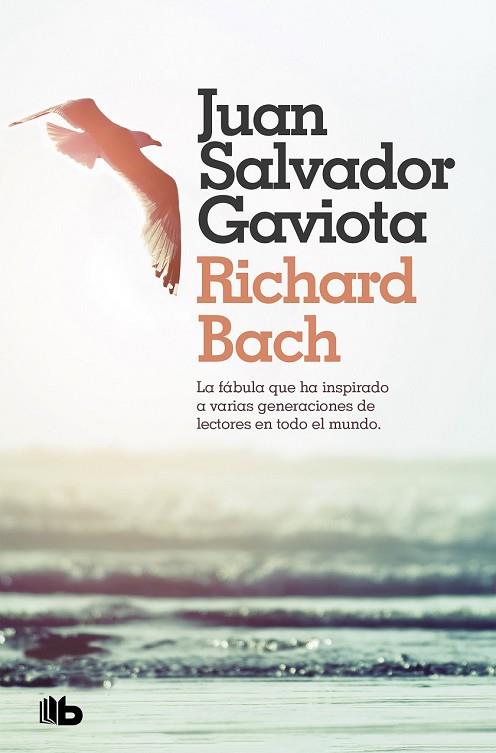 JUAN SALVADOR GAVIOTA | 9788490707432 | BACH, RICHARD | Llibreria Drac - Llibreria d'Olot | Comprar llibres en català i castellà online