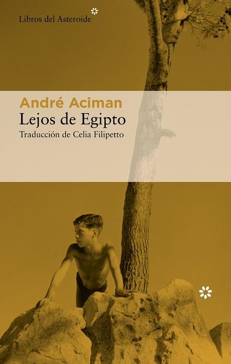 LEJOS DE EGIPTO | 9788417977757 | ACIMAN, ANDRÉ | Llibreria Drac - Llibreria d'Olot | Comprar llibres en català i castellà online