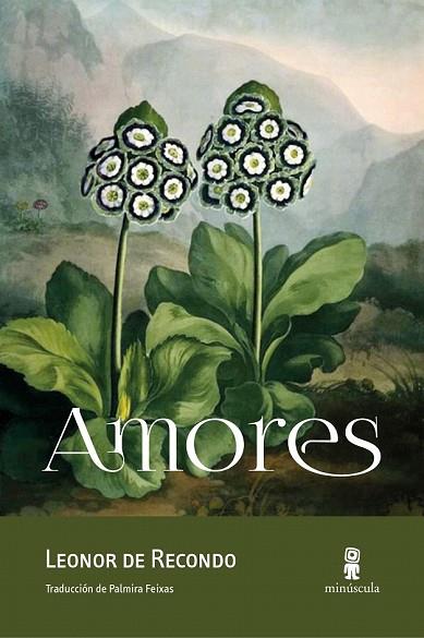 AMORES | 9788494675478 | DE RECONDO, LEONOR | Llibreria Drac - Llibreria d'Olot | Comprar llibres en català i castellà online