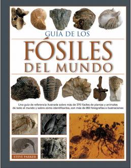GUIA DE LOS FOSILES DEL MUNDO | 9788428217170 | PARKER,STEVE | Llibreria Drac - Llibreria d'Olot | Comprar llibres en català i castellà online