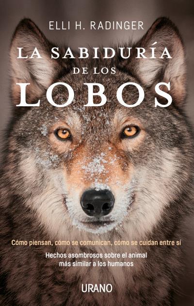 SABIDURÍA DE LOS LOBOS, LA | 9788416720262 | RADINGER, ELLI H. | Llibreria Drac - Llibreria d'Olot | Comprar llibres en català i castellà online