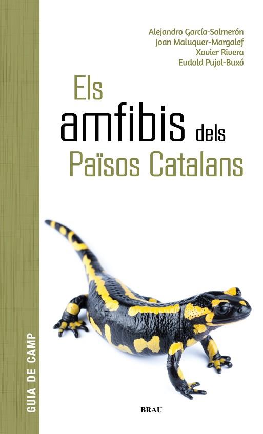 AMFIBIS DELS PAÏSOS CATALANS, ELS  | 9788418096341 | AA.DD. | Llibreria Drac - Llibreria d'Olot | Comprar llibres en català i castellà online