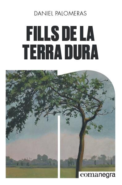 FILLS DE LA TERRA DURA | 9788418022296 | PALOMERAS, DANIEL | Llibreria Drac - Llibreria d'Olot | Comprar llibres en català i castellà online