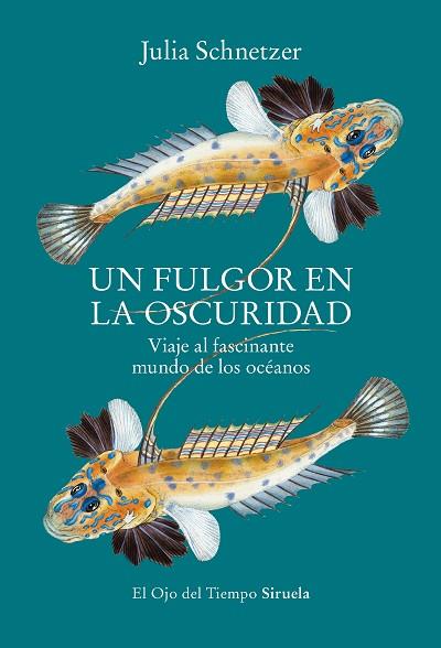 FULGOR EN LA OSCURIDAD, UN | 9788419553119 | SCHNETZER, JULIA | Llibreria Drac - Librería de Olot | Comprar libros en catalán y castellano online