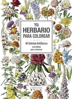 MI HERBARIO PARA COLOREAR | 9788416984749 | LAROUSSE EDITORIAL | Llibreria Drac - Llibreria d'Olot | Comprar llibres en català i castellà online