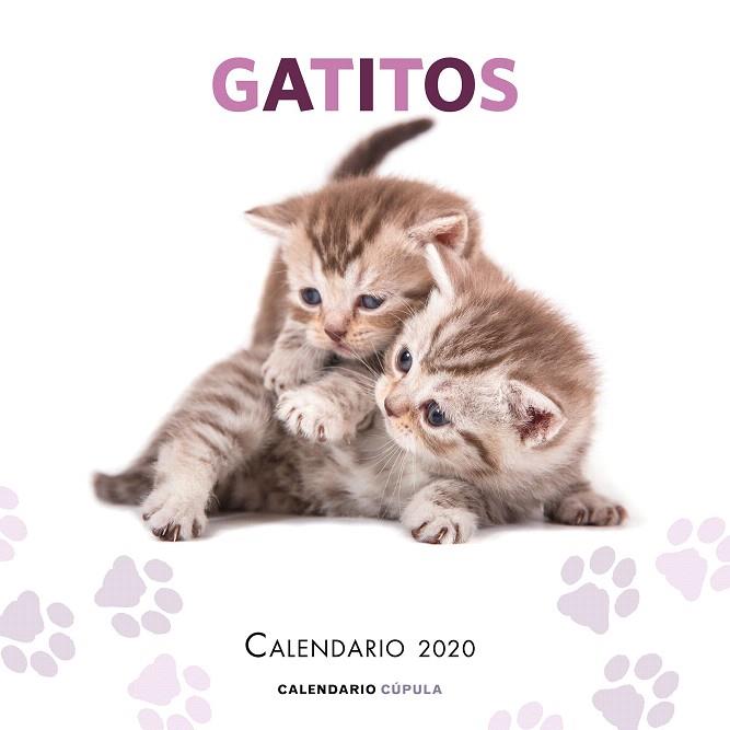 CALENDARIO GATITOS 2020 | 9788448026165 | AA.DD. | Llibreria Drac - Llibreria d'Olot | Comprar llibres en català i castellà online