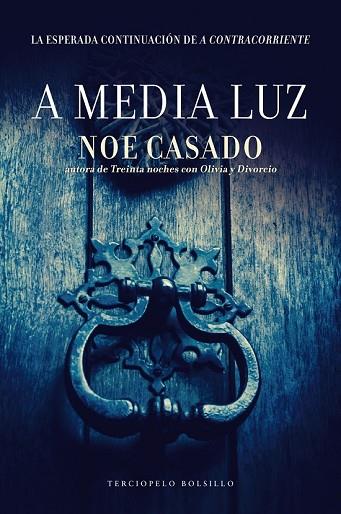 A MEDIA LUZ | 9788415952961 | CASADO, NOE | Llibreria Drac - Llibreria d'Olot | Comprar llibres en català i castellà online