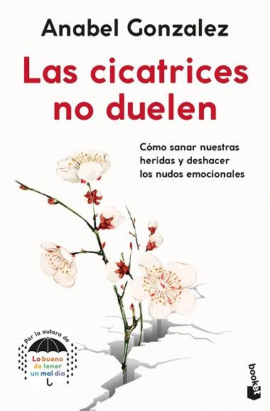 CICATRICES NO DUELEN, LAS | 9788408262343 | GONZALEZ, ANABEL | Llibreria Drac - Llibreria d'Olot | Comprar llibres en català i castellà online