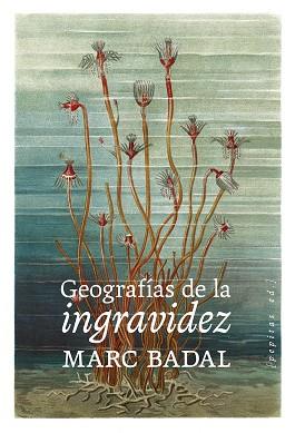 GEOGRAFÍAS DE LA INGRAVIDEZ | 9788418998669 | BADAL PIJOAN, MARC | Llibreria Drac - Llibreria d'Olot | Comprar llibres en català i castellà online