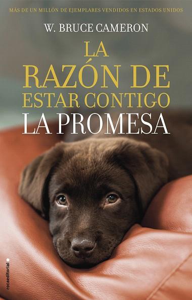 RAZON DE ESTAR CONTIGO LA PROMESA, LA | 9788417167103 | CAMERON, W. BRUCE | Llibreria Drac - Llibreria d'Olot | Comprar llibres en català i castellà online