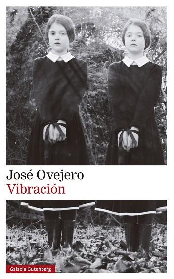 VIBRACIÓN | 9788419738615 | OVEJERO, JOSÉ | Llibreria Drac - Llibreria d'Olot | Comprar llibres en català i castellà online