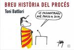BREU HISTÒRIA DEL PROCÉS | 9788466657143 | BATLLORI, TONI | Llibreria Drac - Llibreria d'Olot | Comprar llibres en català i castellà online
