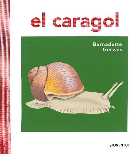 CARAGOL, EL | 9788426145680 | GERVAIS, BERNADETTE | Llibreria Drac - Llibreria d'Olot | Comprar llibres en català i castellà online