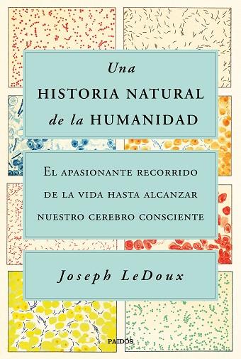 HISTORIA NATURAL DE LA HUMANIDAD, UNA | 9788449338274 | LEDOUX, JOSEPH | Llibreria Drac - Llibreria d'Olot | Comprar llibres en català i castellà online