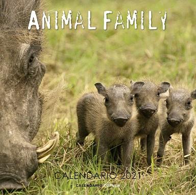 CALENDARIO ANIMAL FAMILY 2021 | 9788448027643 | AA.DD. | Llibreria Drac - Llibreria d'Olot | Comprar llibres en català i castellà online