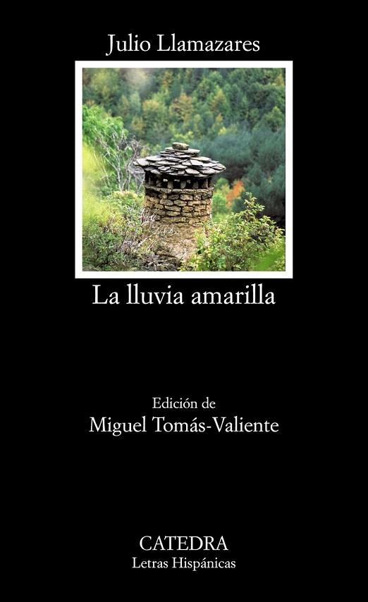 LLUVIA AMARILLA, LA | 9788437635972 | LLAMAZARES, JULIO | Llibreria Drac - Llibreria d'Olot | Comprar llibres en català i castellà online