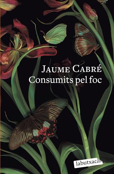 CONSUMITS PEL FOC | 9788419107206 | CABRÉ, JAUME | Llibreria Drac - Llibreria d'Olot | Comprar llibres en català i castellà online