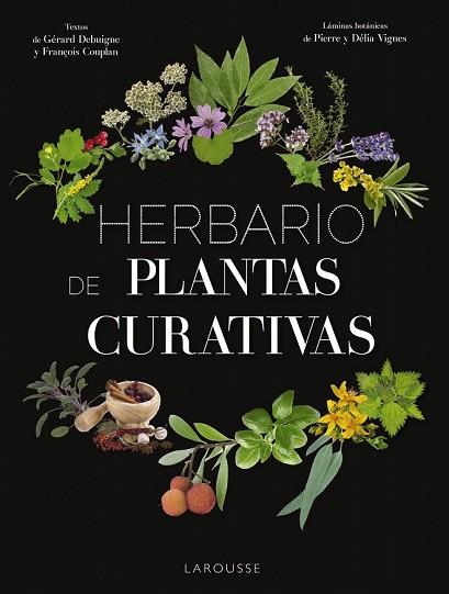 HERBARIO DE PLANTAS CURATIVAS | 9788417273415 | Llibreria Drac - Llibreria d'Olot | Comprar llibres en català i castellà online