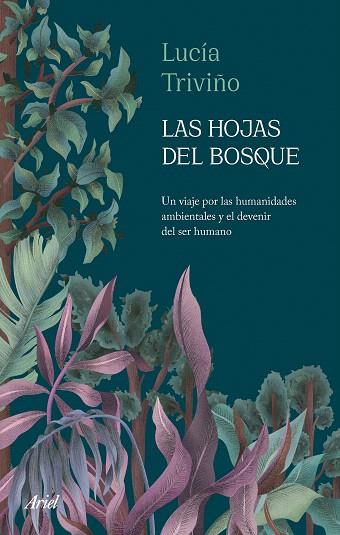 HOJAS DEL BOSQUE, LAS | 9788434436718 | TRIVIÑO, LUCÍA | Llibreria Drac - Librería de Olot | Comprar libros en catalán y castellano online