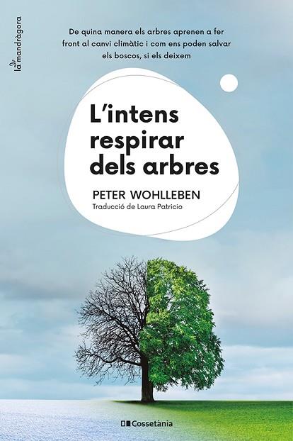 INTENS RESPIRAR DELS ARBRES, L' | 9788413562087 | WOHLLEBEN, PETER | Llibreria Drac - Llibreria d'Olot | Comprar llibres en català i castellà online